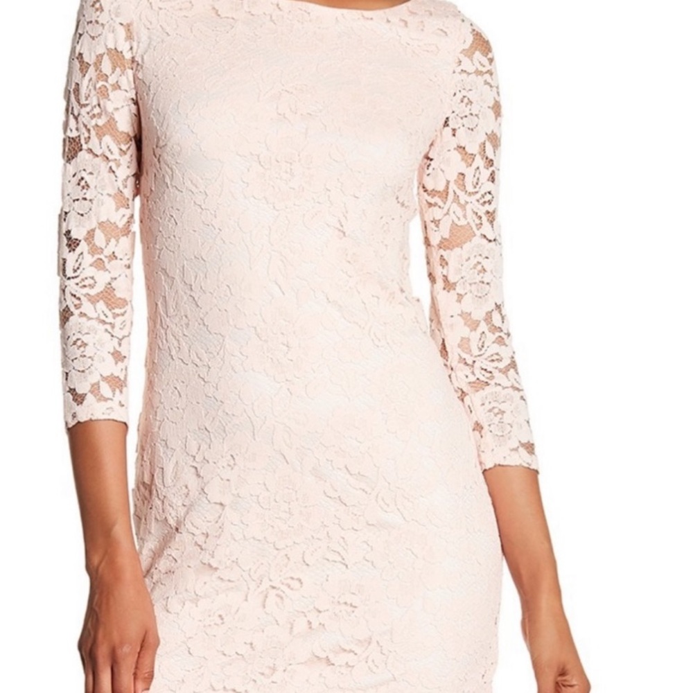 Vince Camuto Rose Lacy Dress